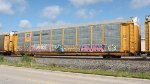 TTGX 853063 (UPL 95317)